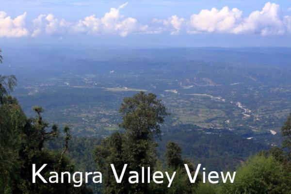 Himalayan Homestay Dharamshala Dış mekan fotoğraf