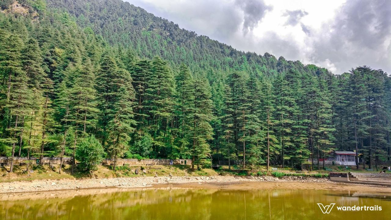 Himalayan Homestay Dharamshala Dış mekan fotoğraf